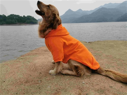 Premium Custom Dog Jumper Manufacturing: Quality & Style Combined