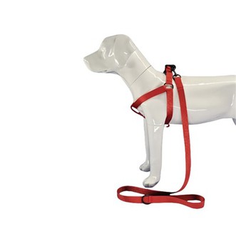 Red Dog Harness