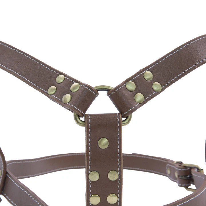 Brass Rivet Leather Dog Harness