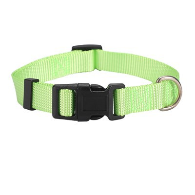 Plain Webbing Dog Collar