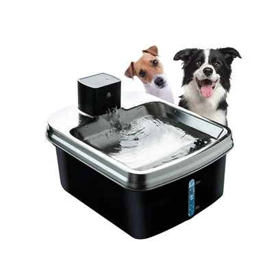 Smart Dog Water Fountain