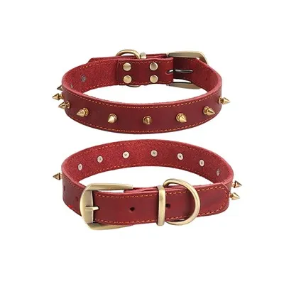 Spike Leather Dog Collar